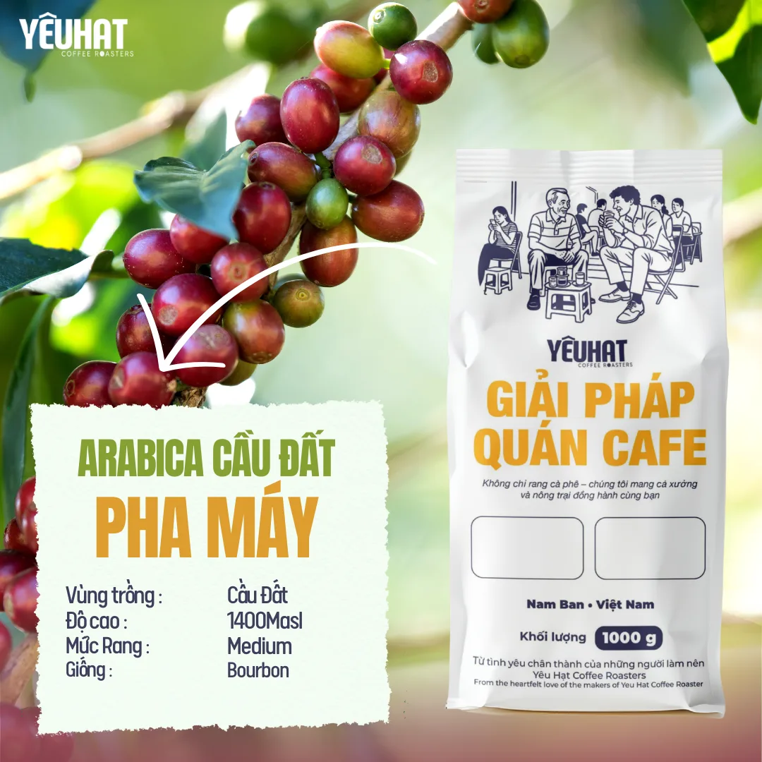 Cà phê Arabica Núi Min - Cầu Đất