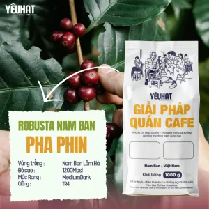 Strong Robusta Nam Ban - Pha Phin