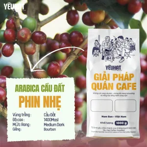 Strong Arabica - Pha Phin