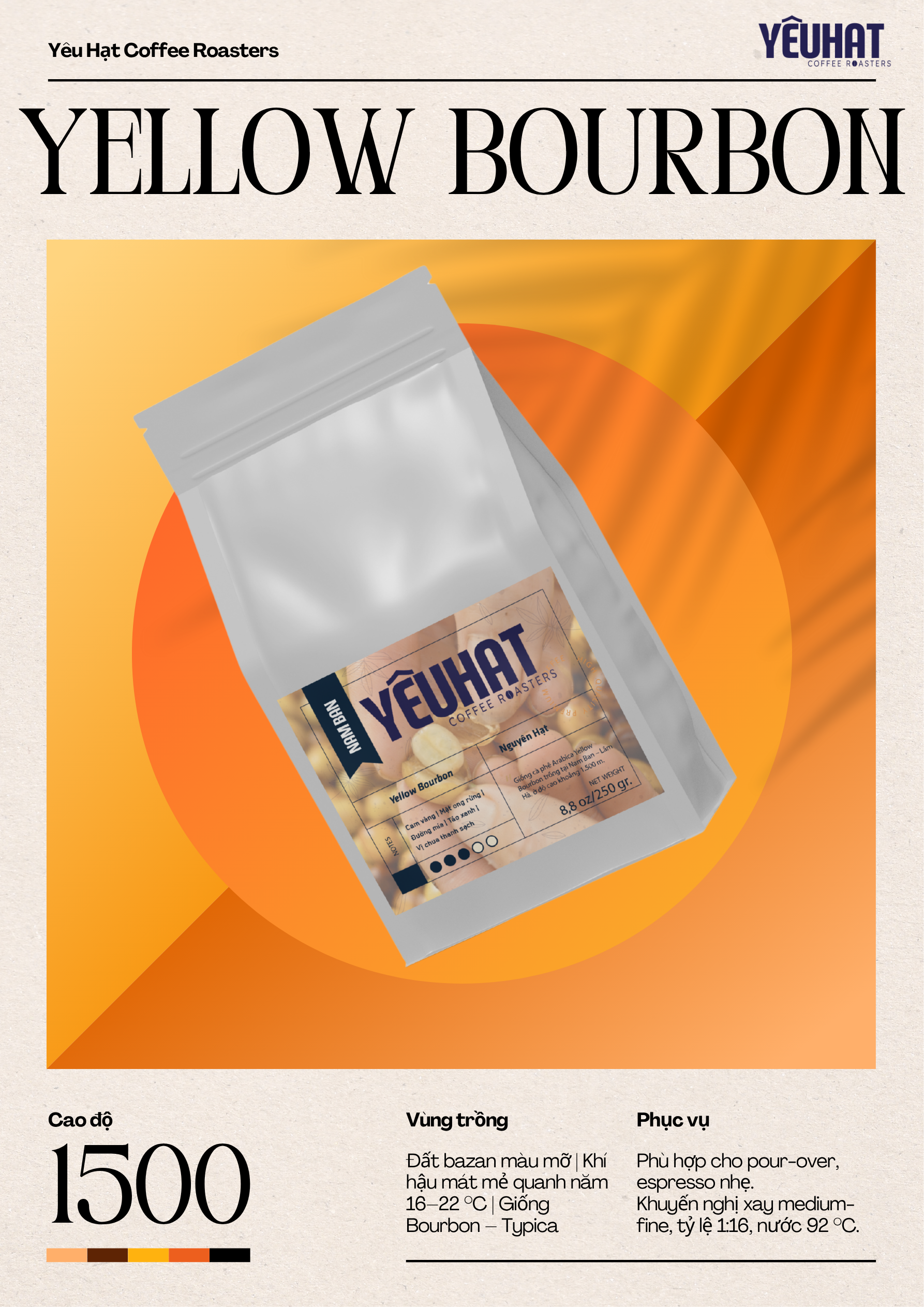 Typica Yellow Bourbon