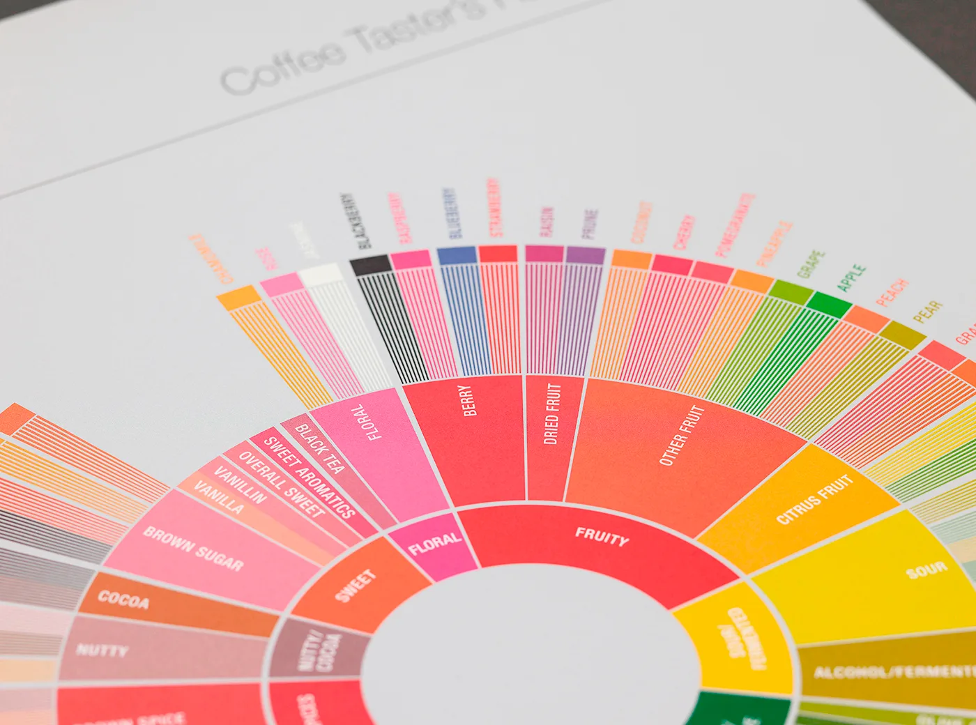 Cận cảnh Coffee Taster’s Flavor Wheel với các nhóm hương trái cây, hoa và vị ngọt