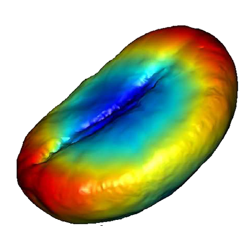 Nhiệt độ quá cao dễ dẫn tới lỗi Cháy đầu hạt
