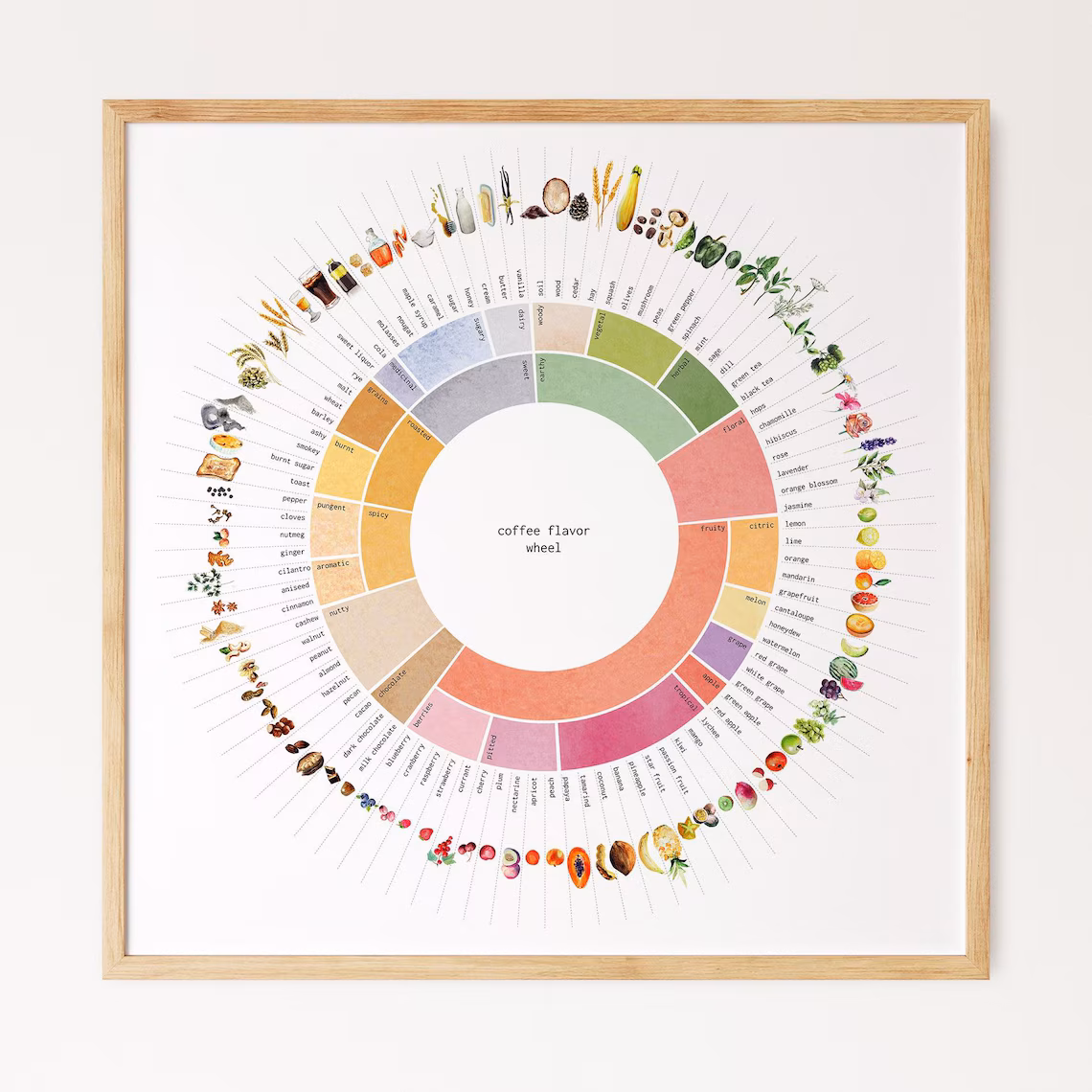 Vòng tròn hương vị cà phê và mối liên hệ giữa aroma, taste và body