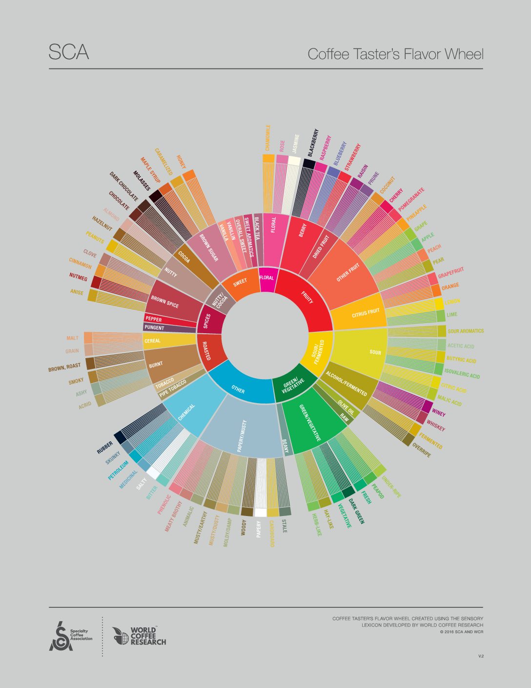 Vòng tròn hương vị cà phê và mối liên hệ giữa aroma, taste và body