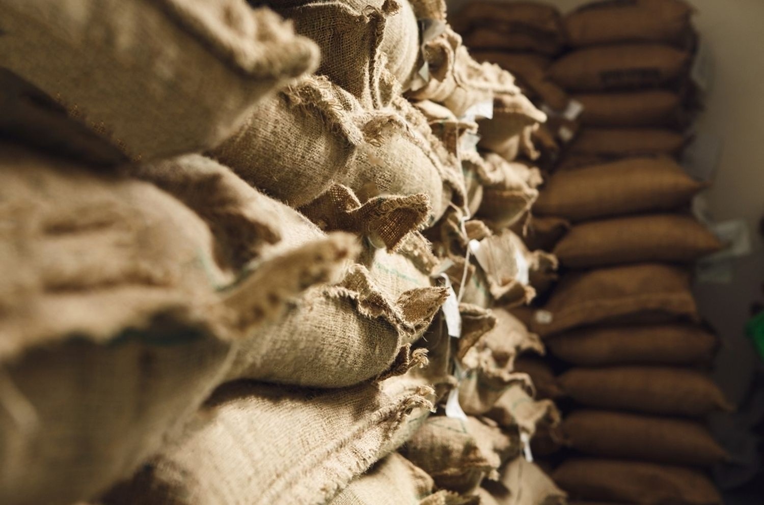 Kho bảo quản cà phê nhân xanh