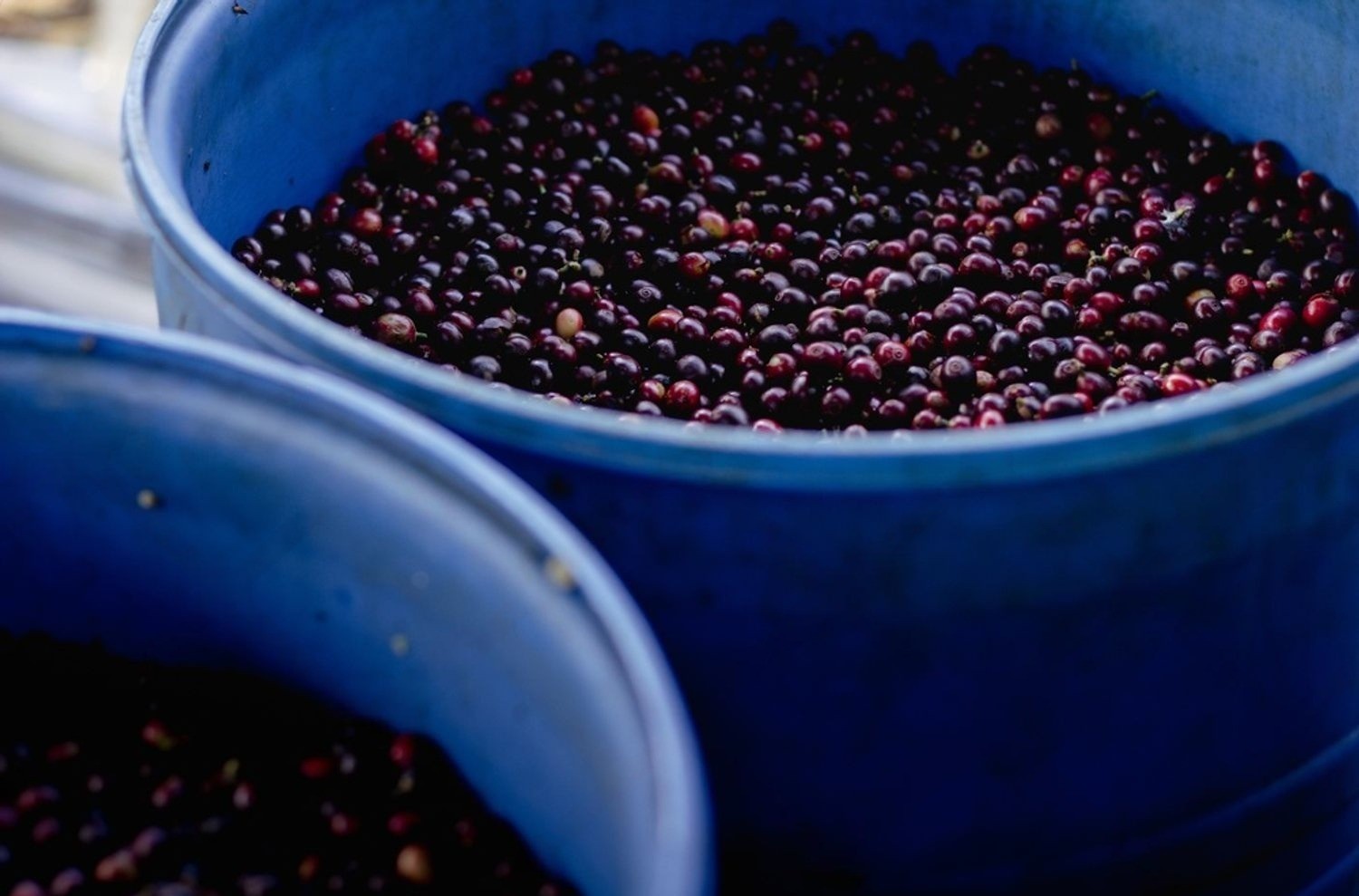 Bồn kín được dùng trong sơ chế cà phê Anaerobic.