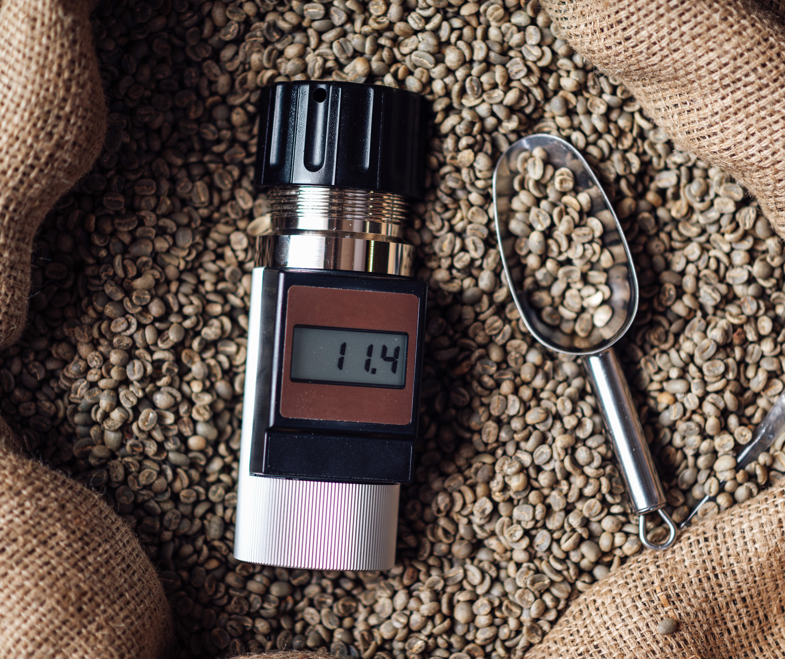 Cà phê nhân xanh đạt độ ẩm tiêu chuẩn