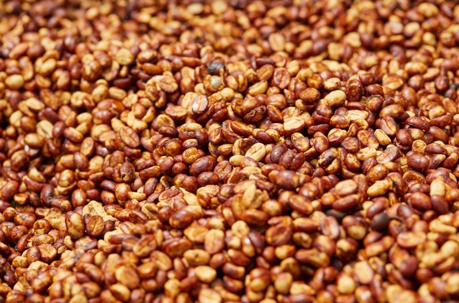 Honey process coffee mucilage drying