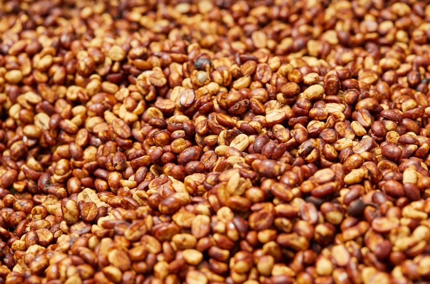 Honey process coffee mucilage drying