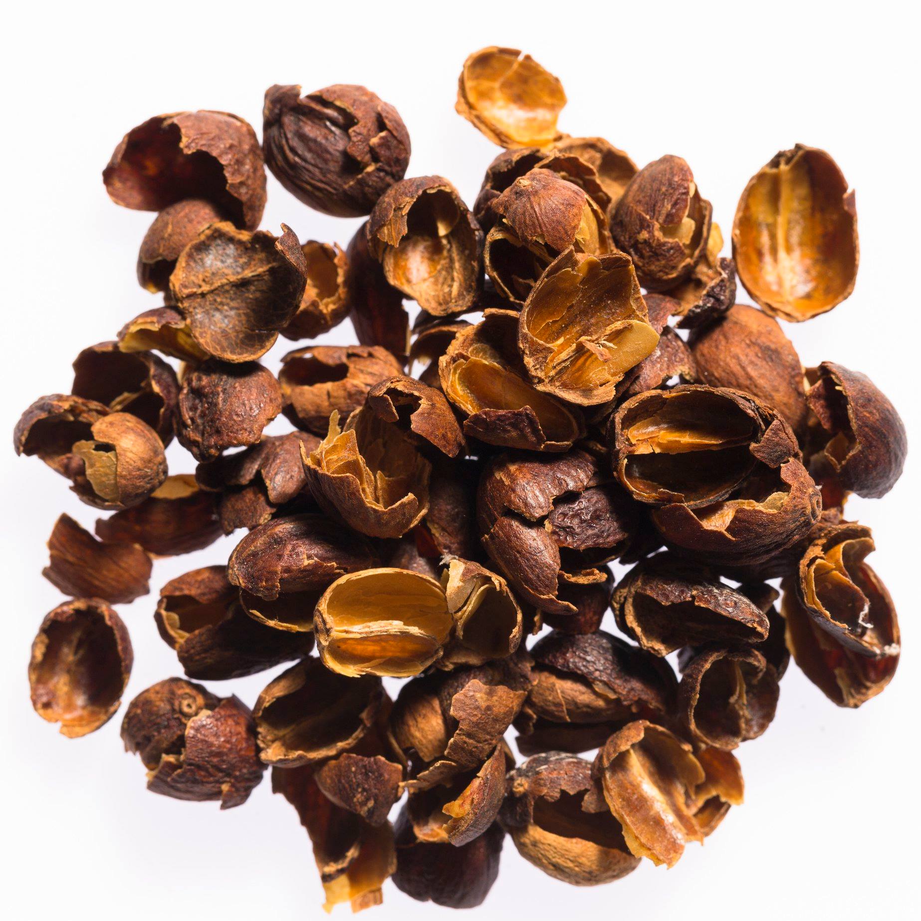 Vỏ khô (hull/husk)