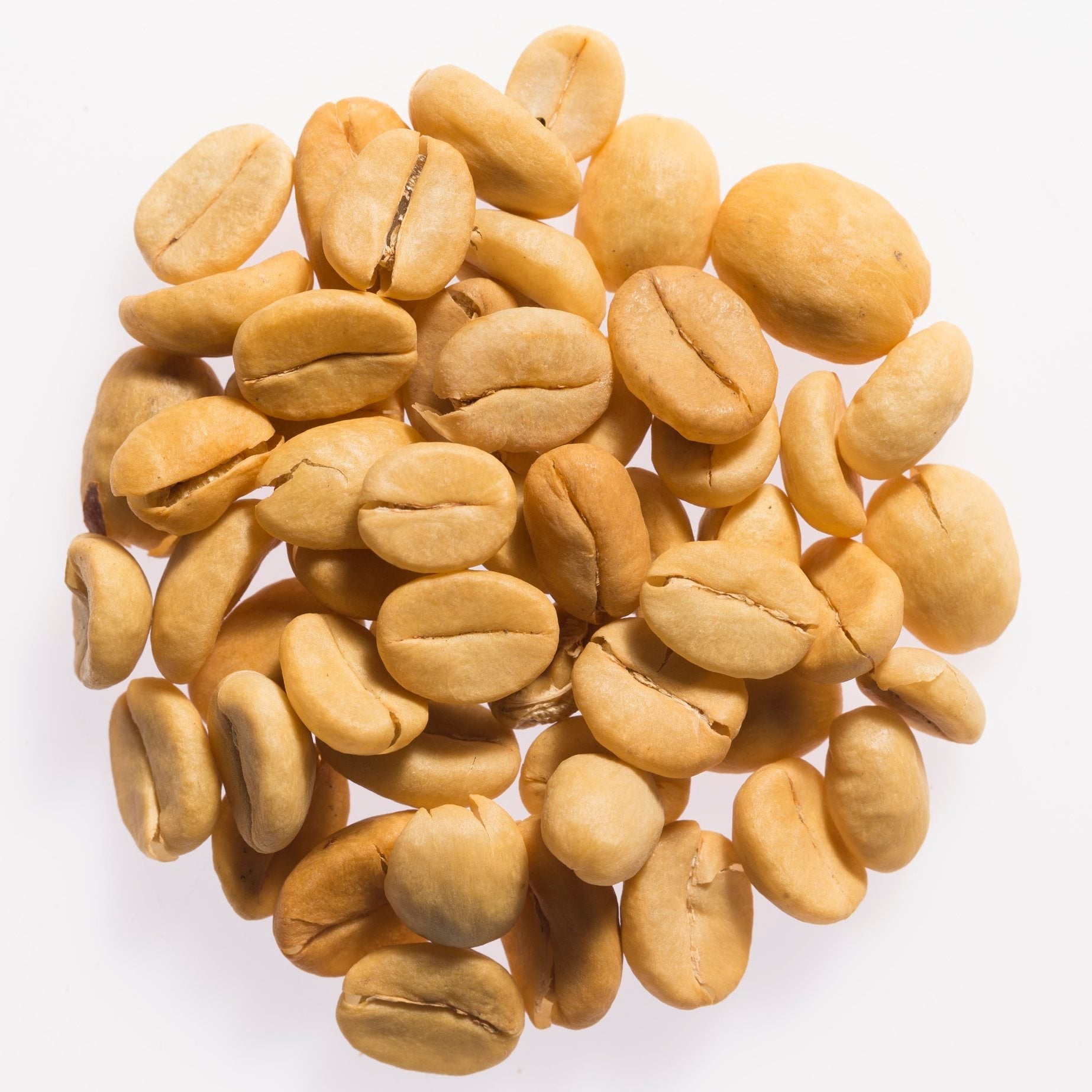 Vỏ thóc còn sót (parchment)