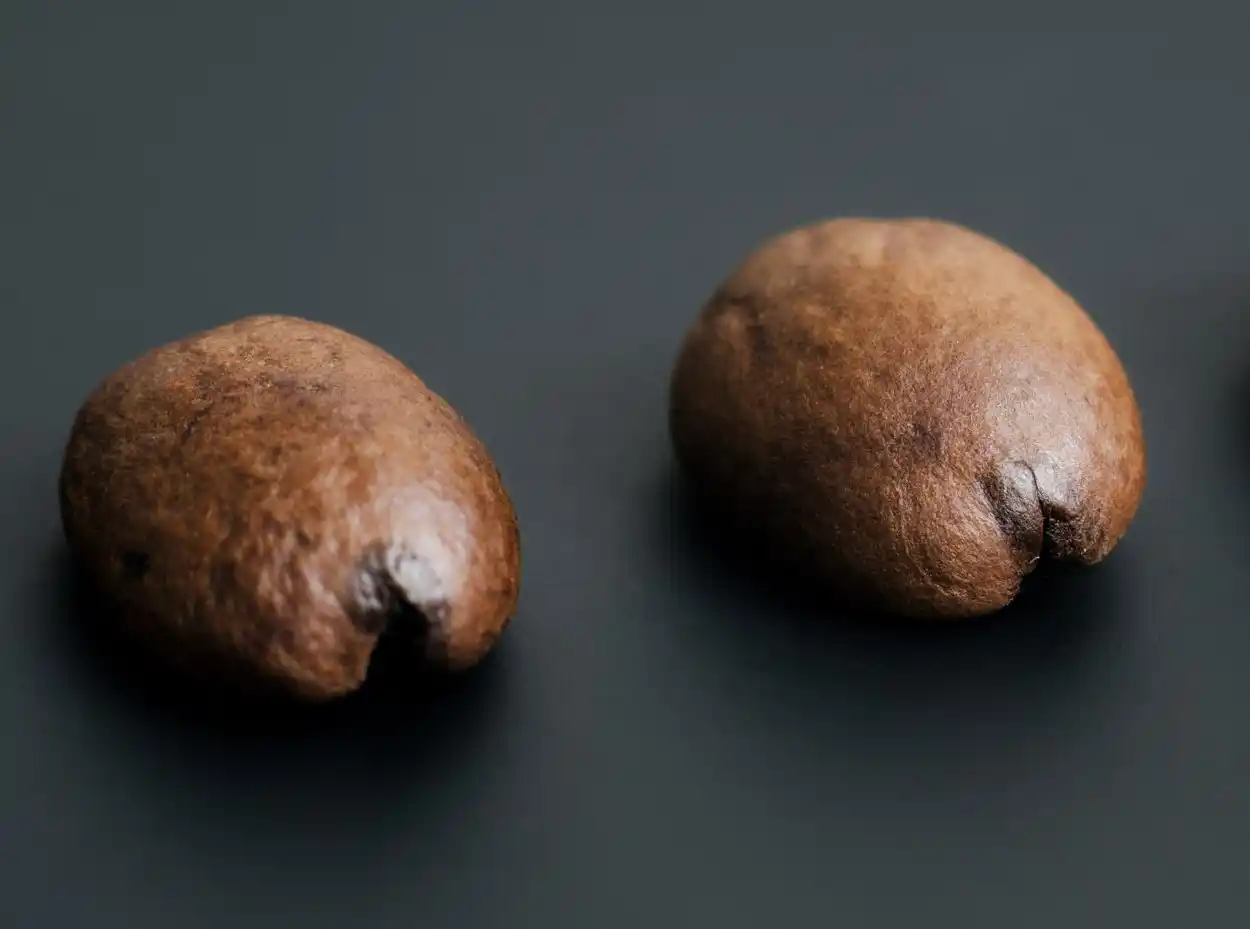 Biểu đồ RoR và lỗi Tipping