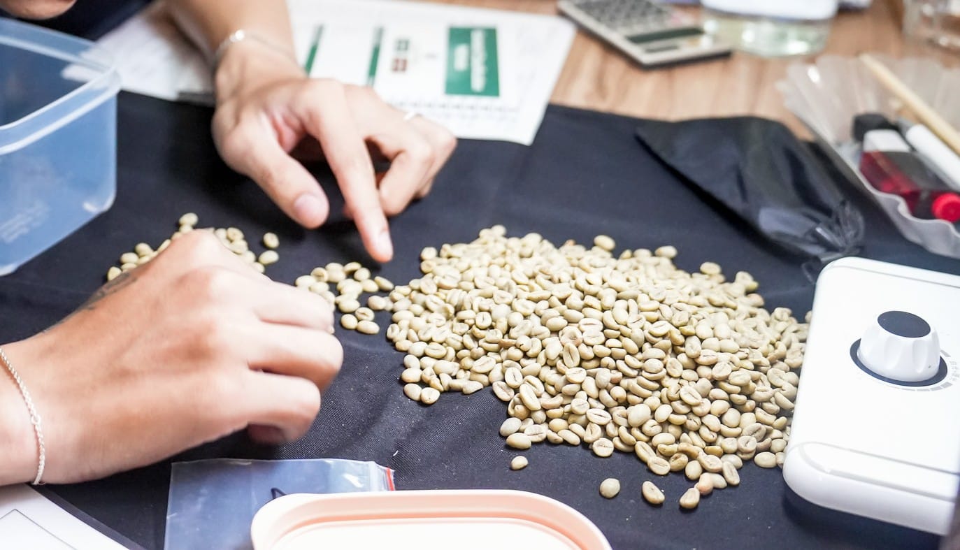 Kiểm tra chất lượng cà phê nhân xanh