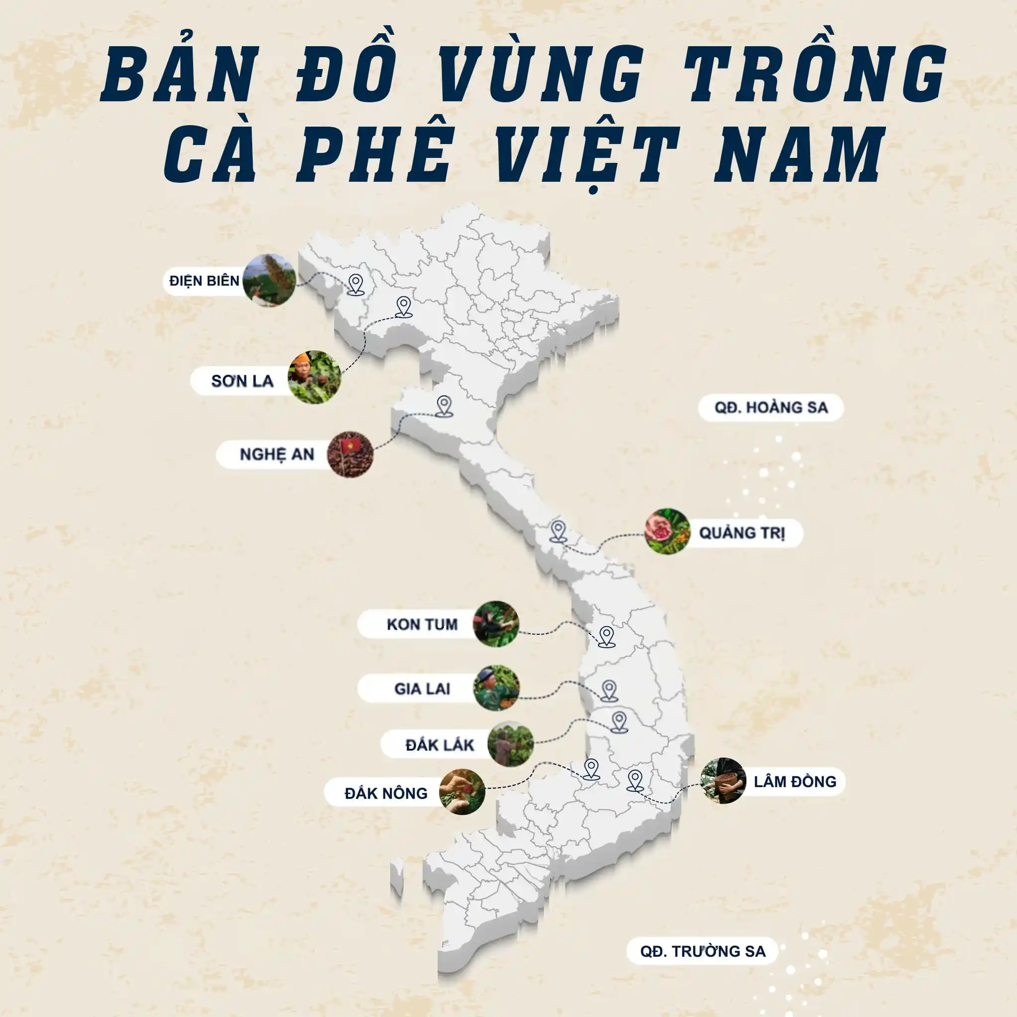 Bản đồ các vùng trồng cà phê đặc sản tại Việt Nam