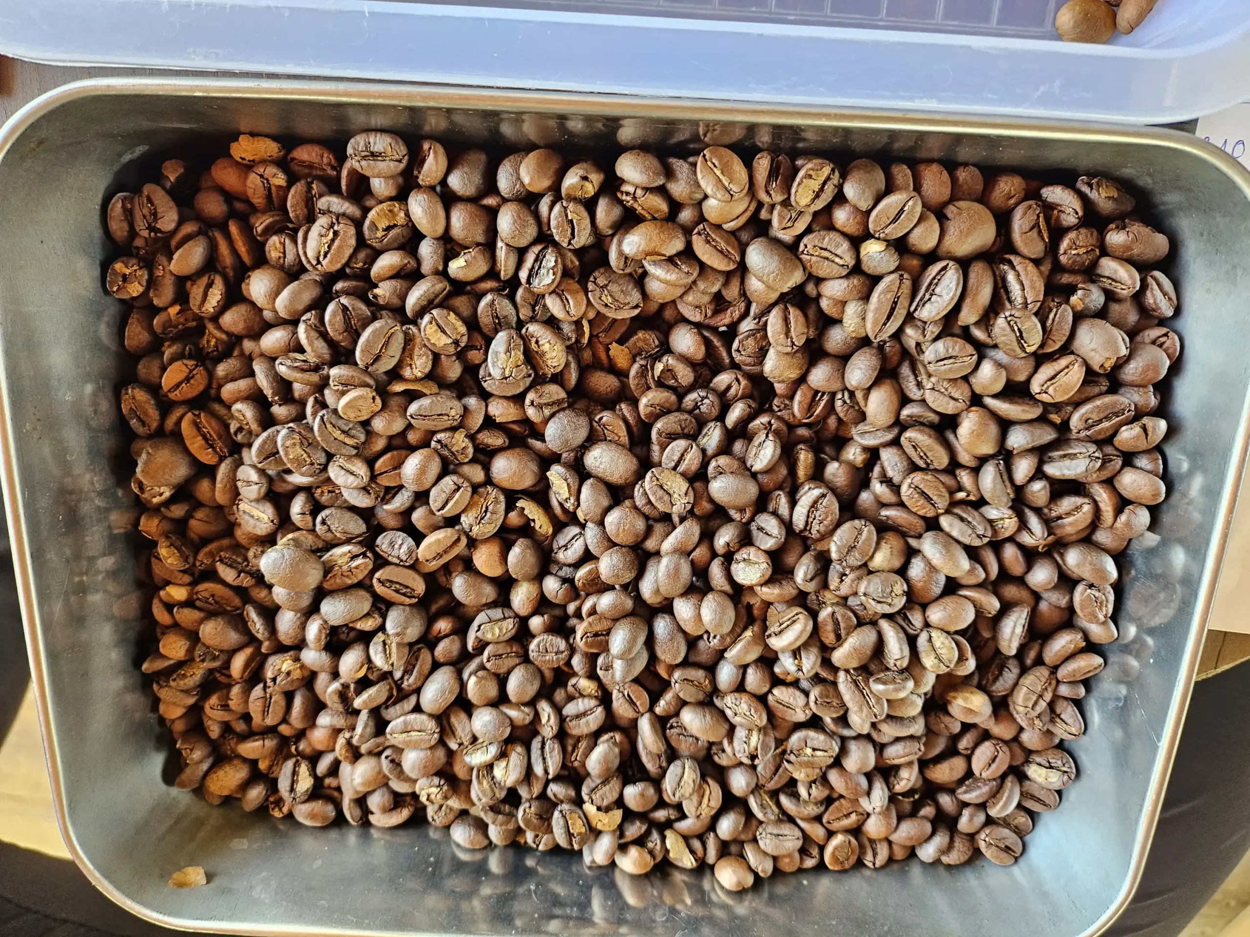 Hạt cà phê Robusta
