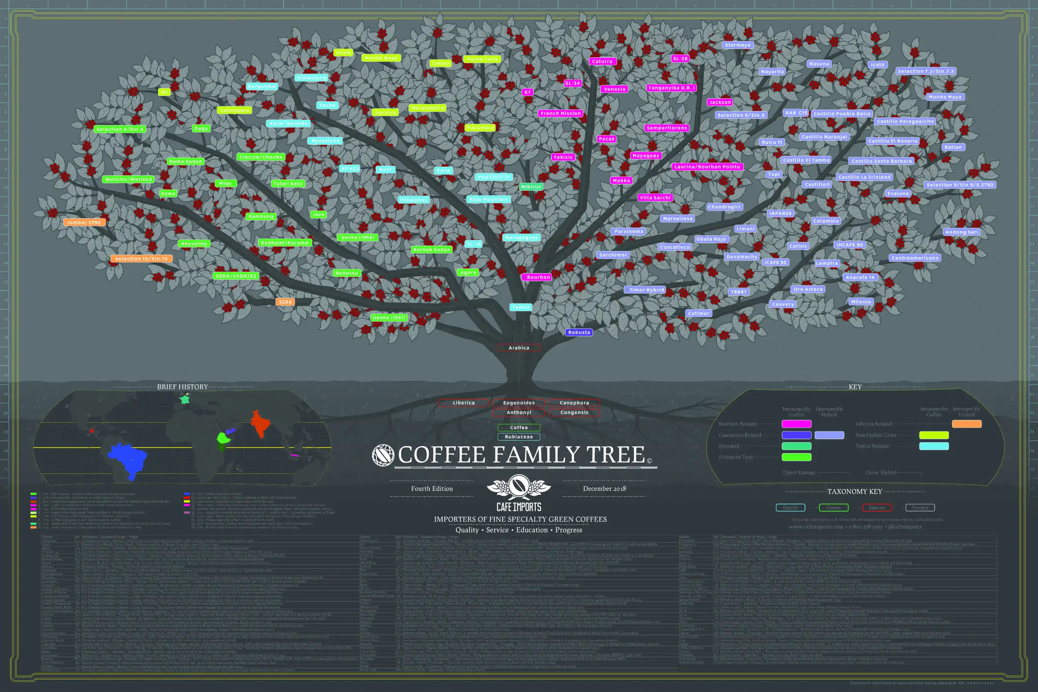 Cây phả hệ cà phê từ chi Coffea đến Arabica, Robusta và các nhóm giống